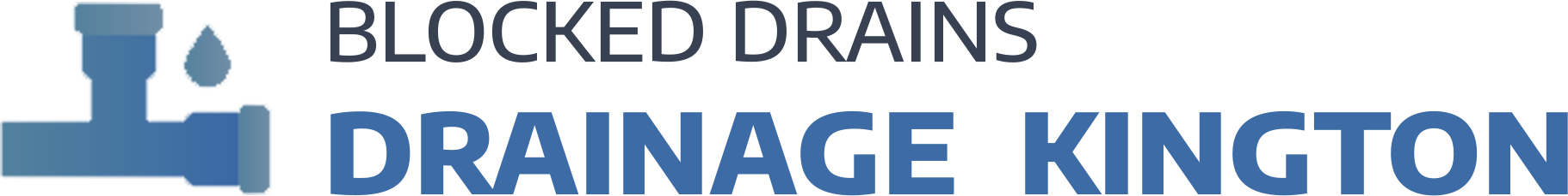website logo